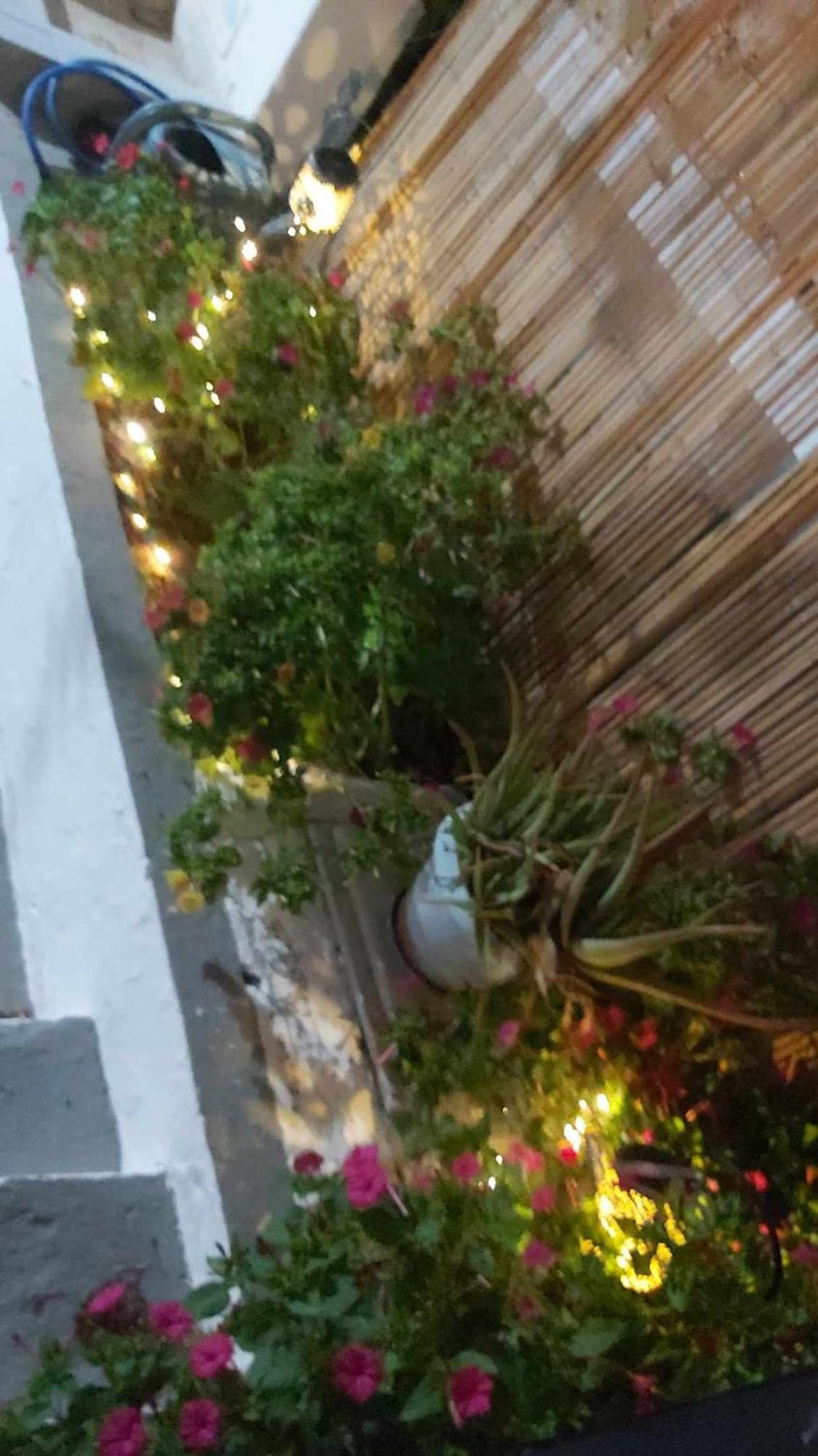 Kostas Studios Apartments - Ενοικιαζόμενα Δωμάτια Με Κουζινάκι Myrina Extérieur photo